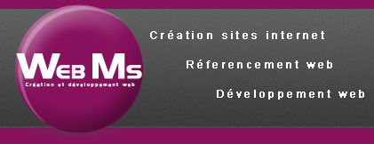 webms création et dévelopement web